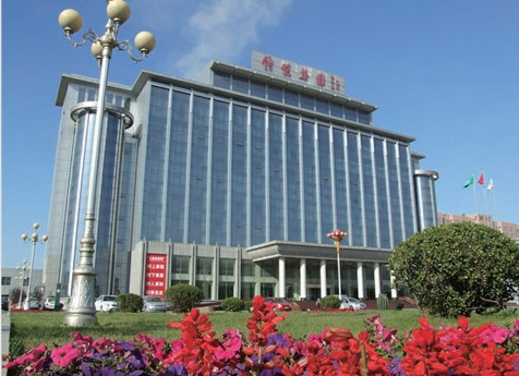 مجموعة Xinfa Group 